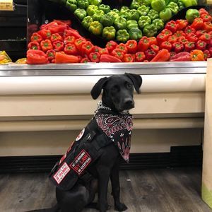 Meet your Posher, Brooklyn